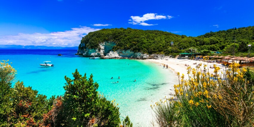 Antipaxos